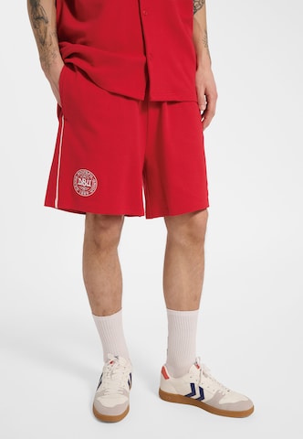 Hummel Regular Sports trousers 'DBU 26' in Red: front