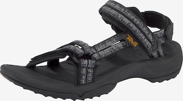 TEVA Sandals 'Terra' in Grey: front