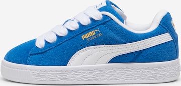 Sneaker 'Suede XL' di PUMA in blu: frontale