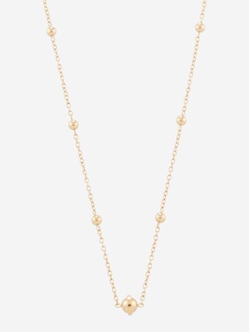 TOMMY HILFIGER Kette in Gold