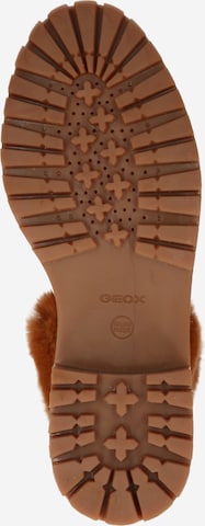 GEOX Lace-up bootie 'IRIDEA' in Brown
