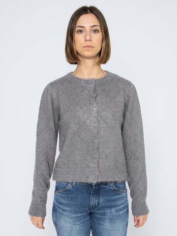 Cardigan wild pony en gris : devant