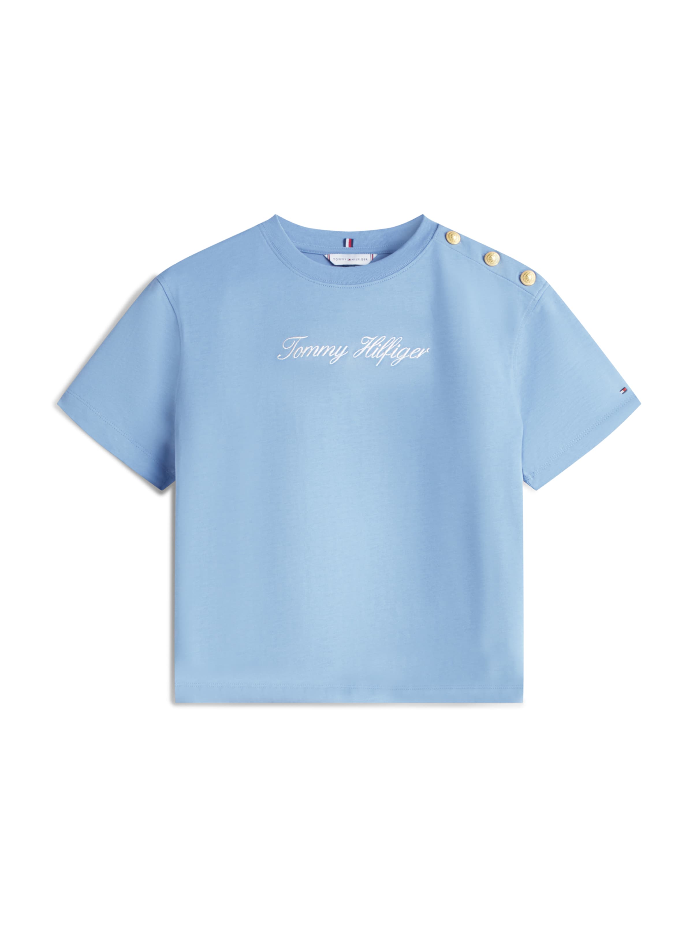 mėlyna TOMMY HILFIGER Marškinėliai: priekis