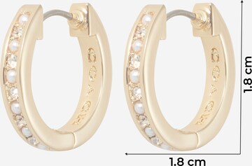 COACH Earrings in Gold