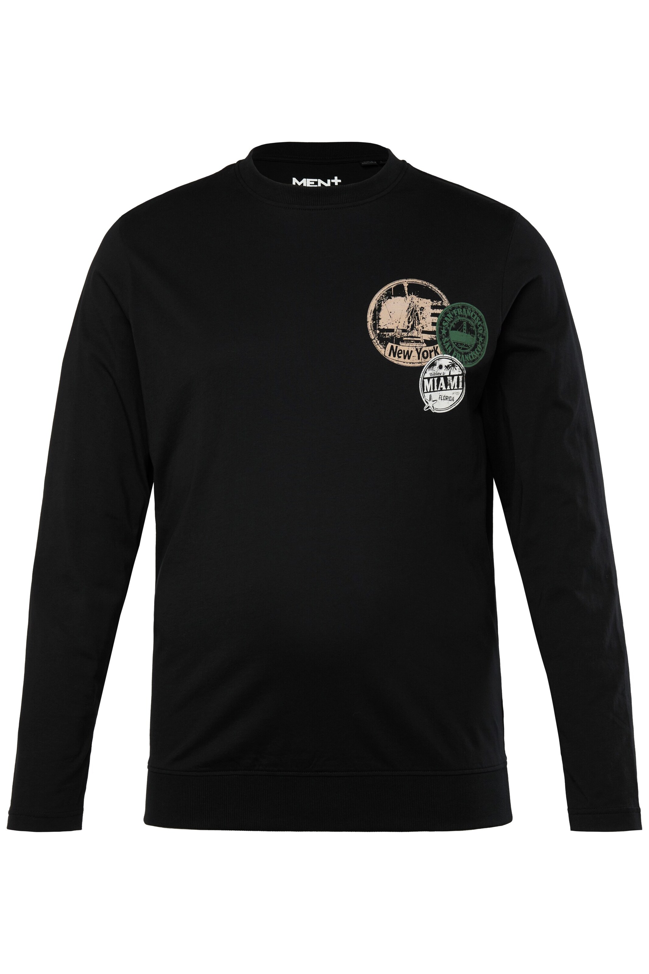 Men Plus Sweatshirt in Black: front