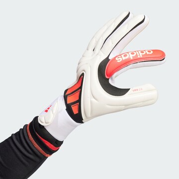 Gants de sport 'Copa Pro' ADIDAS PERFORMANCE en blanc