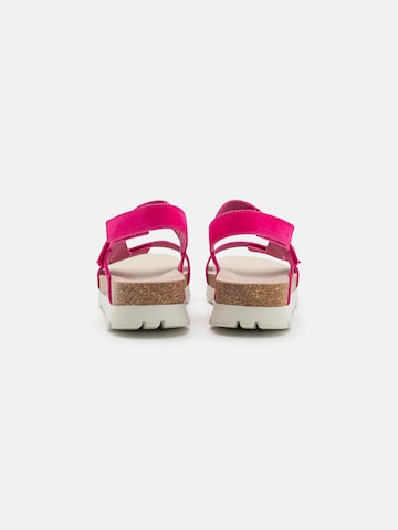 PANAMA JACK Sandals 'Selma B11' in Pink