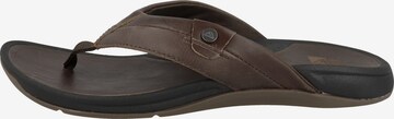 REEF Classic Flats 'Pacific Le' in Brown: front