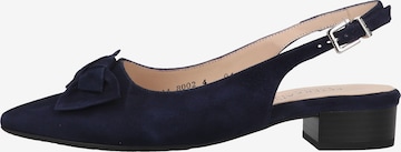 PETER KAISER Slingback Pumps in Blue: front