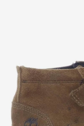 TIMBERLAND Sneakers & Trainers in 38 in Brown