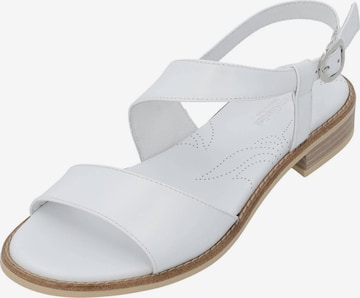 Sandales à lanières Nero Giardini en blanc : devant