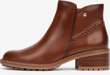 PIKOLINOS Nilkkurit 'Medina' värissä ruskea: etupuoli