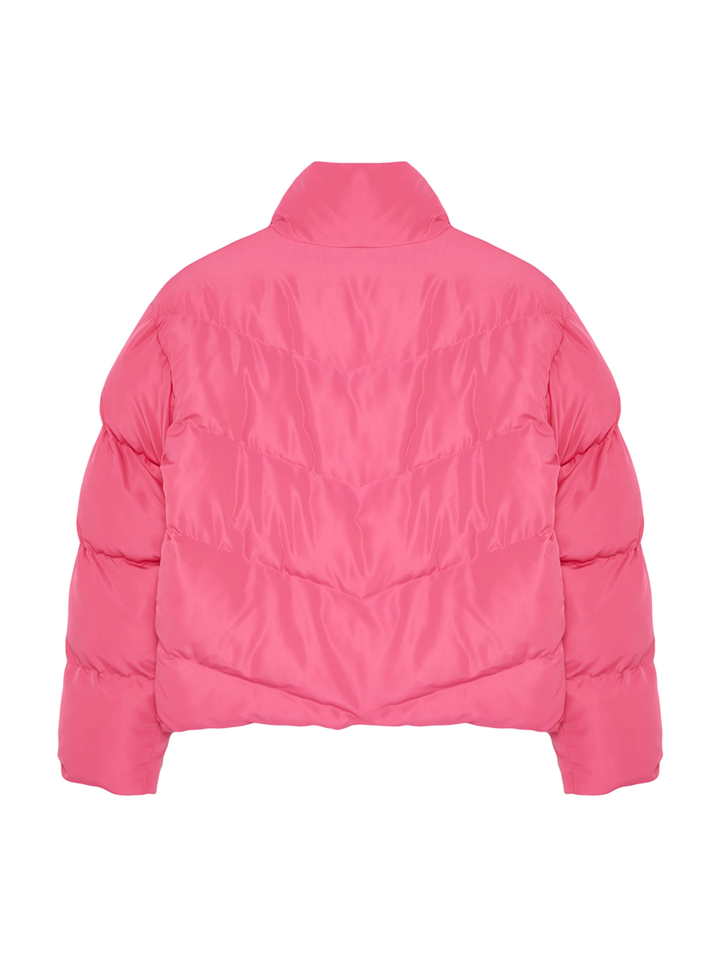 Trendyol Winter Jacket in Pink