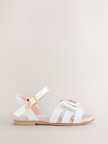 Baker by Ted Baker Босоножки в Белый