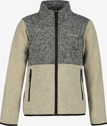 ICEPEAK Sports sweat jacket 'Lohne Jr' in Beige: front