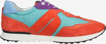 Högl Sneakers in Mixed colors