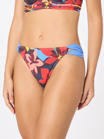 LingaDore Bikini Bottoms in Mixed colors: front