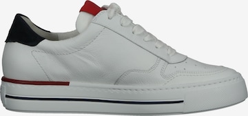 Paul Green Sneakers in White