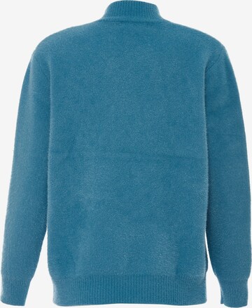 Poomi Sweater in Blue
