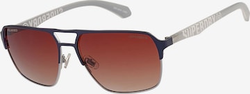 Superdry Eyewear Sunglasses in Blue: front
