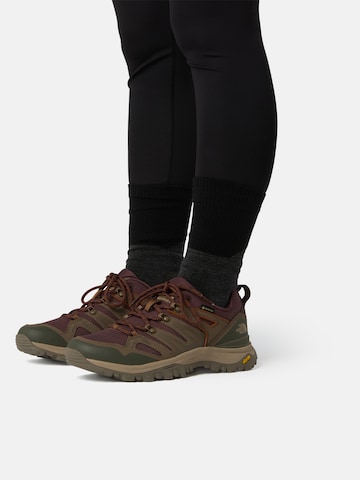 Chaussure basse 'Hedgehog' THE NORTH FACE en gris