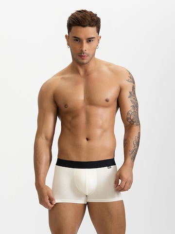 BIMONI Boxer shorts in White: front