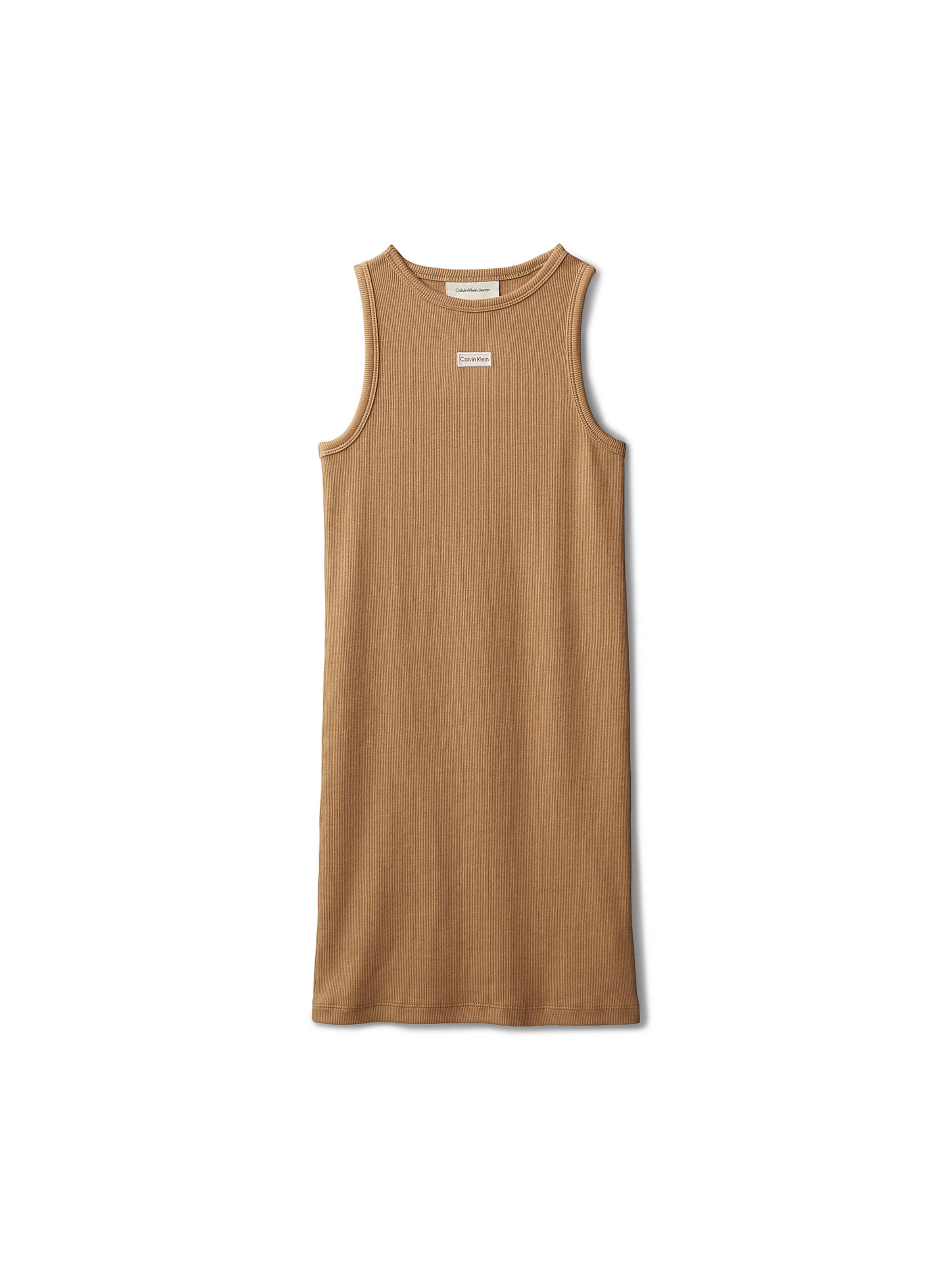 Calvin Klein Jeans Dress in Brown: front