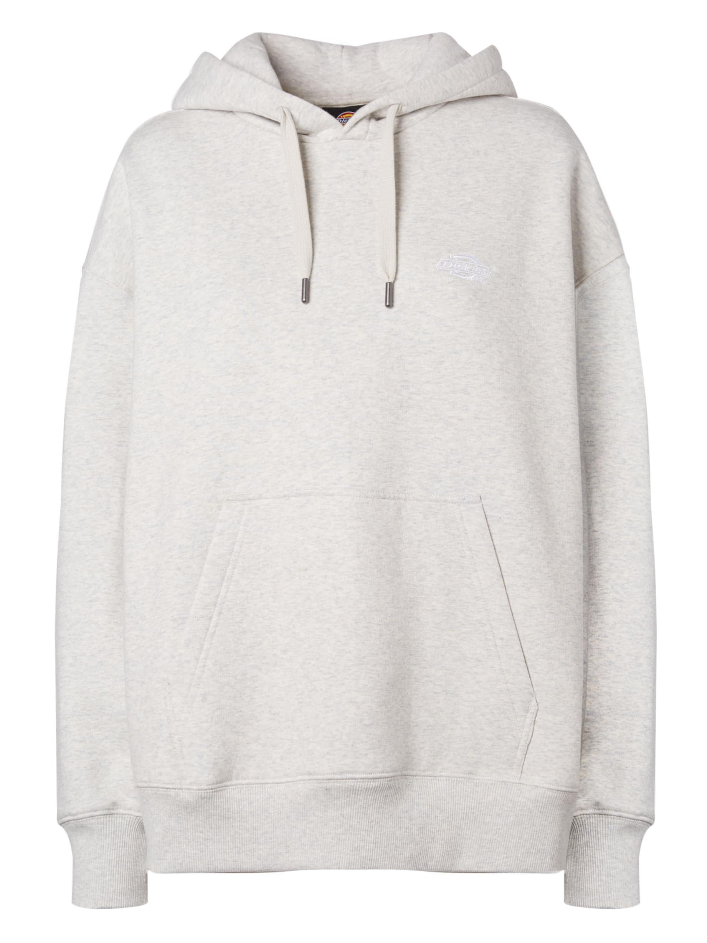Felpa 'SUMMERDALE' di DICKIES in grigio: frontale