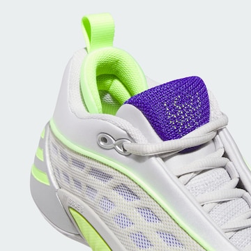 Scarpa sportiva 'Don Issue 8' di ADIDAS PERFORMANCE in grigio