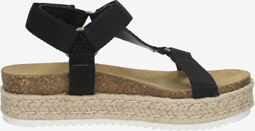 STEVE MADDEN Strap Sandals in Black