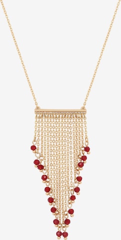 faina - Cadena en oro: frente