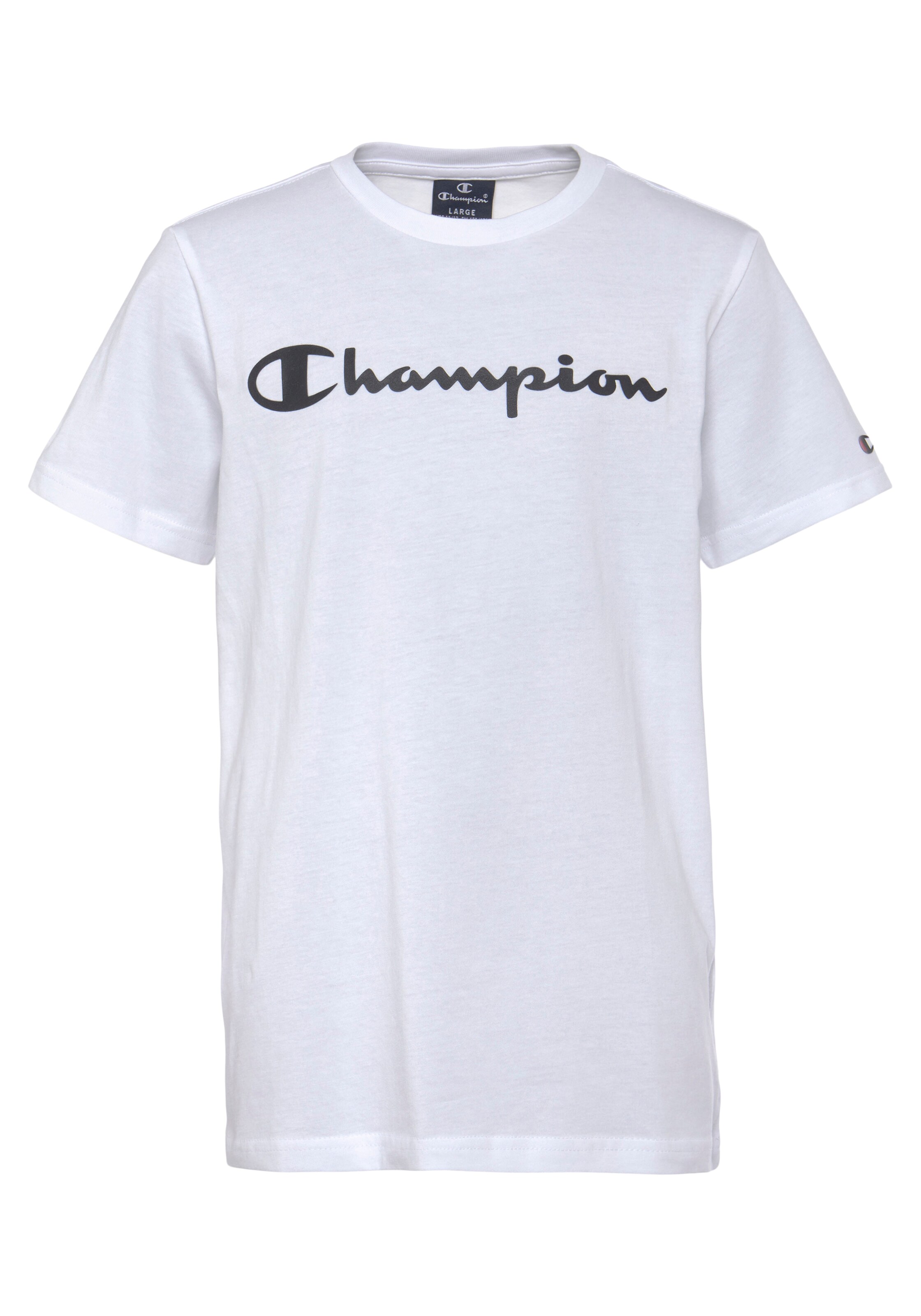 Champion Authentic Athletic Apparel Shirt in Blue