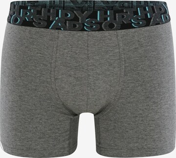 Happy Shorts Boxershorts ' Trunks #3 ' in Grijs