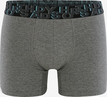 Boxers ' Trunks #3 ' Happy Shorts en gris