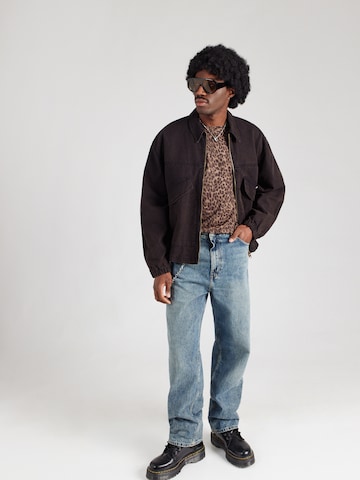 HOLLISTER Μπλουζάκι σε καφέ