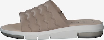 Mule '84.601' GABOR en beige