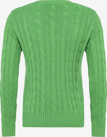 DENIM CULTURE Pullover 'LUDOVICA' i grøn