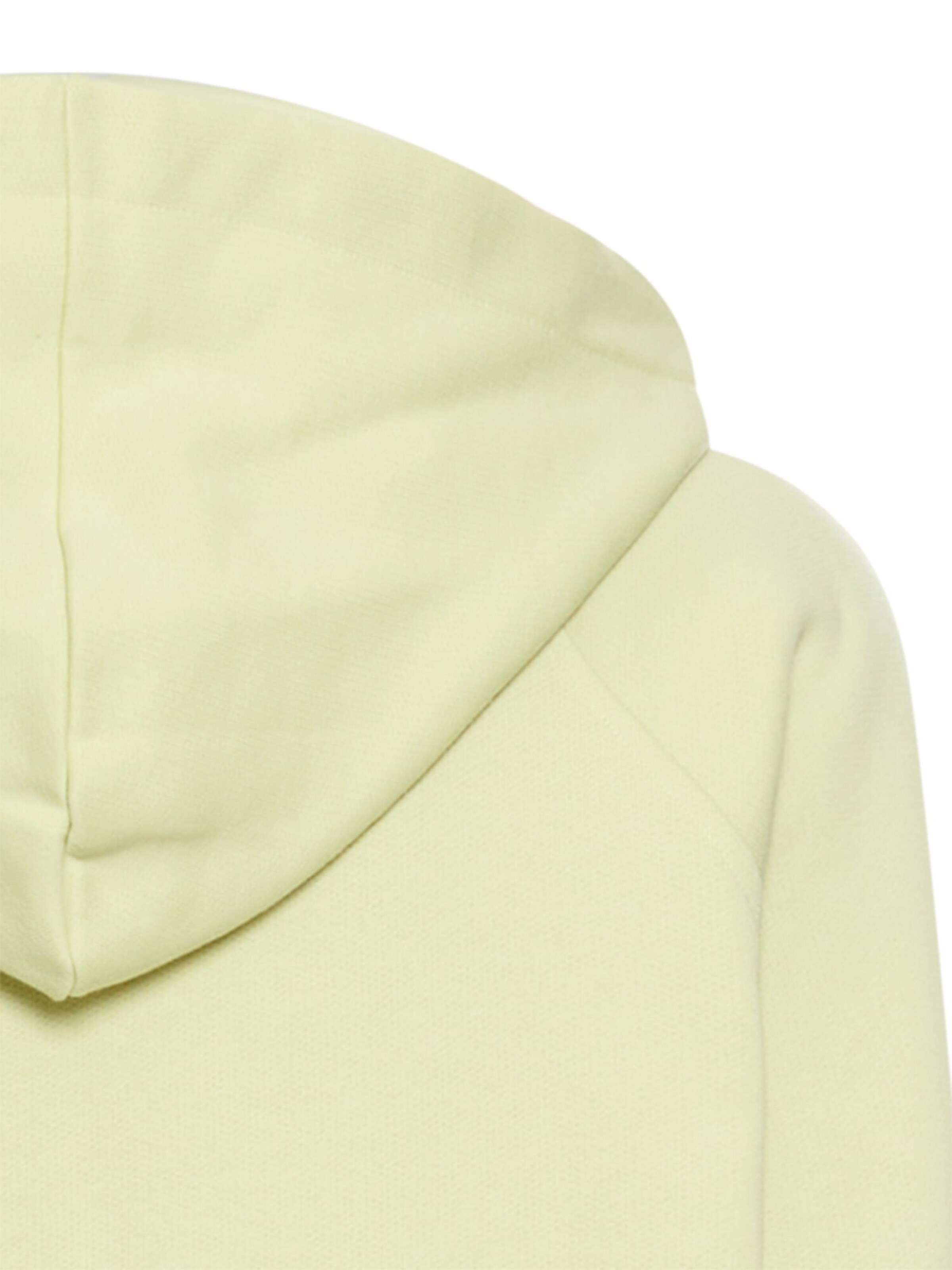 CAMEL ACTIVE Sweater in Green