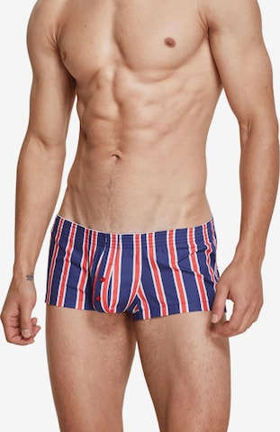 SEOBEAN Boxer shorts 'Baumwolle Boxershort Tight Cup Trunk Gestreift' in Blue: front