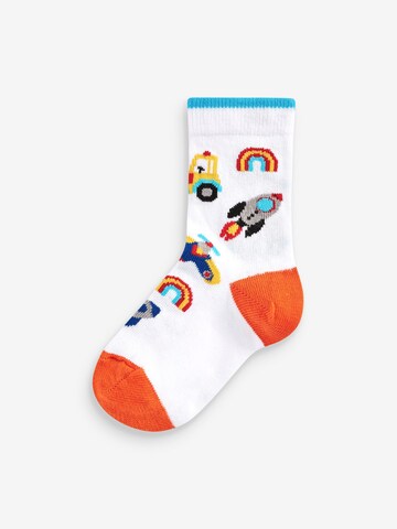 Next Socks '7er-Pack' in Mixed colors