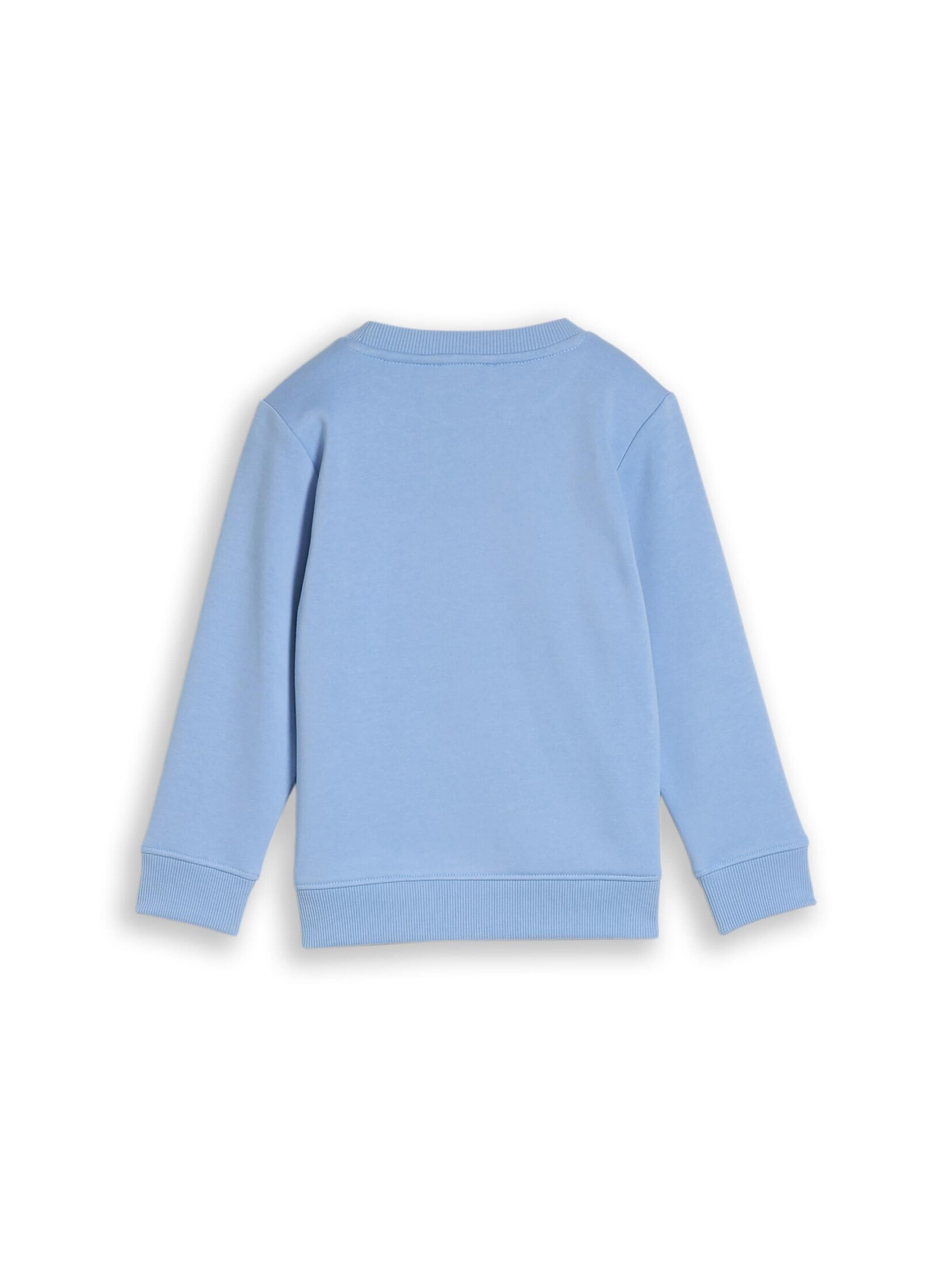 TOM TAILOR Sweatshirt in Blauw