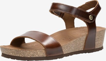 PANAMA JACK Strap Sandals 'Capri Clay' in Brown: front