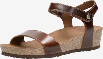 PANAMA JACK Strap Sandals 'Capri Clay' in Brown: front