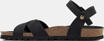 Bayton Strap sandal in Black