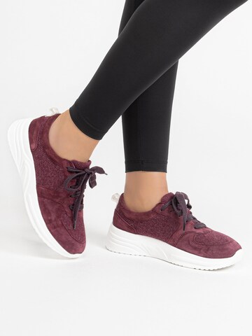 Sneaker bassa di VITAFORM in lilla