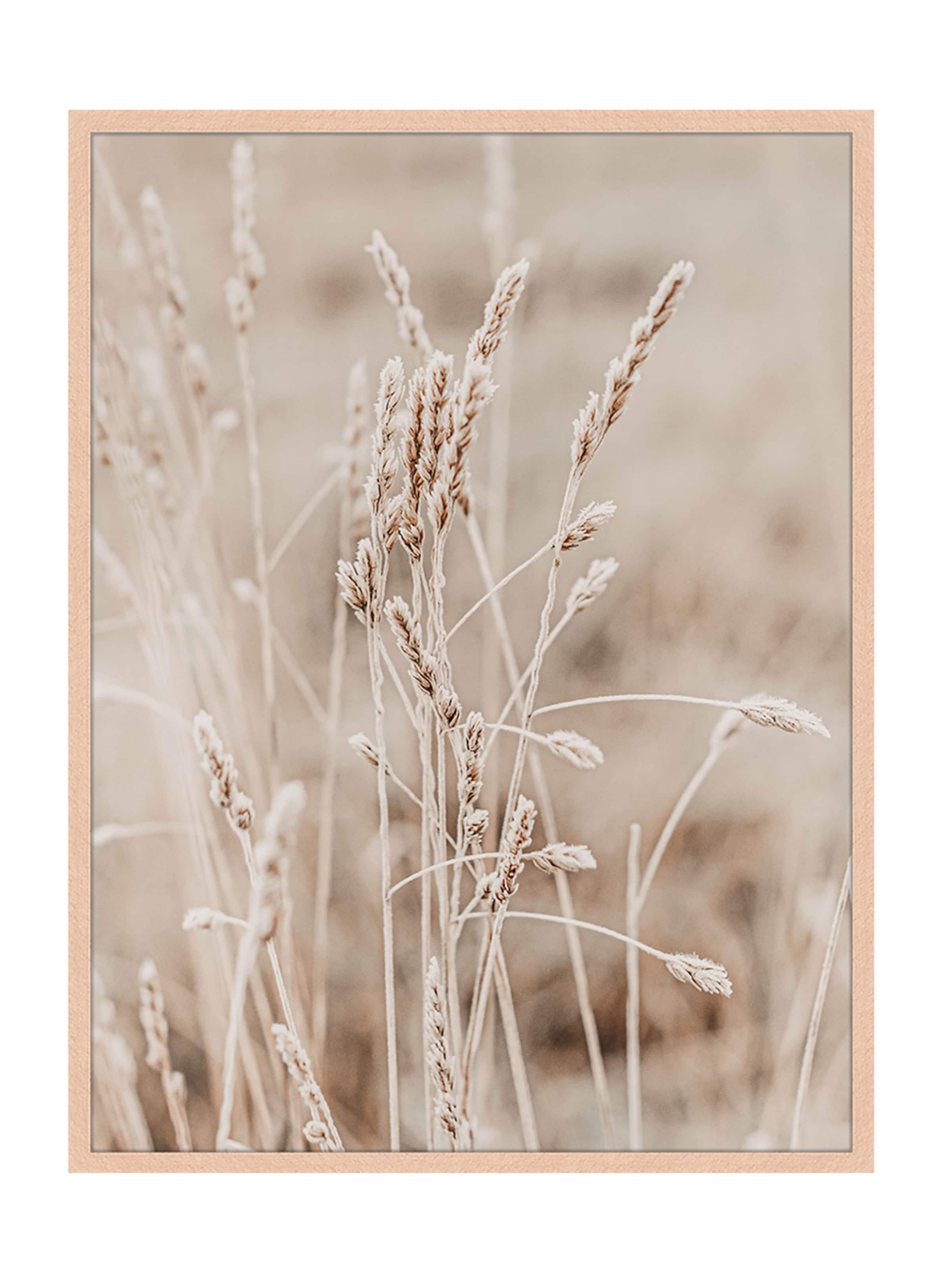 Liv Corday Image 'Dry Field' in Brown: front