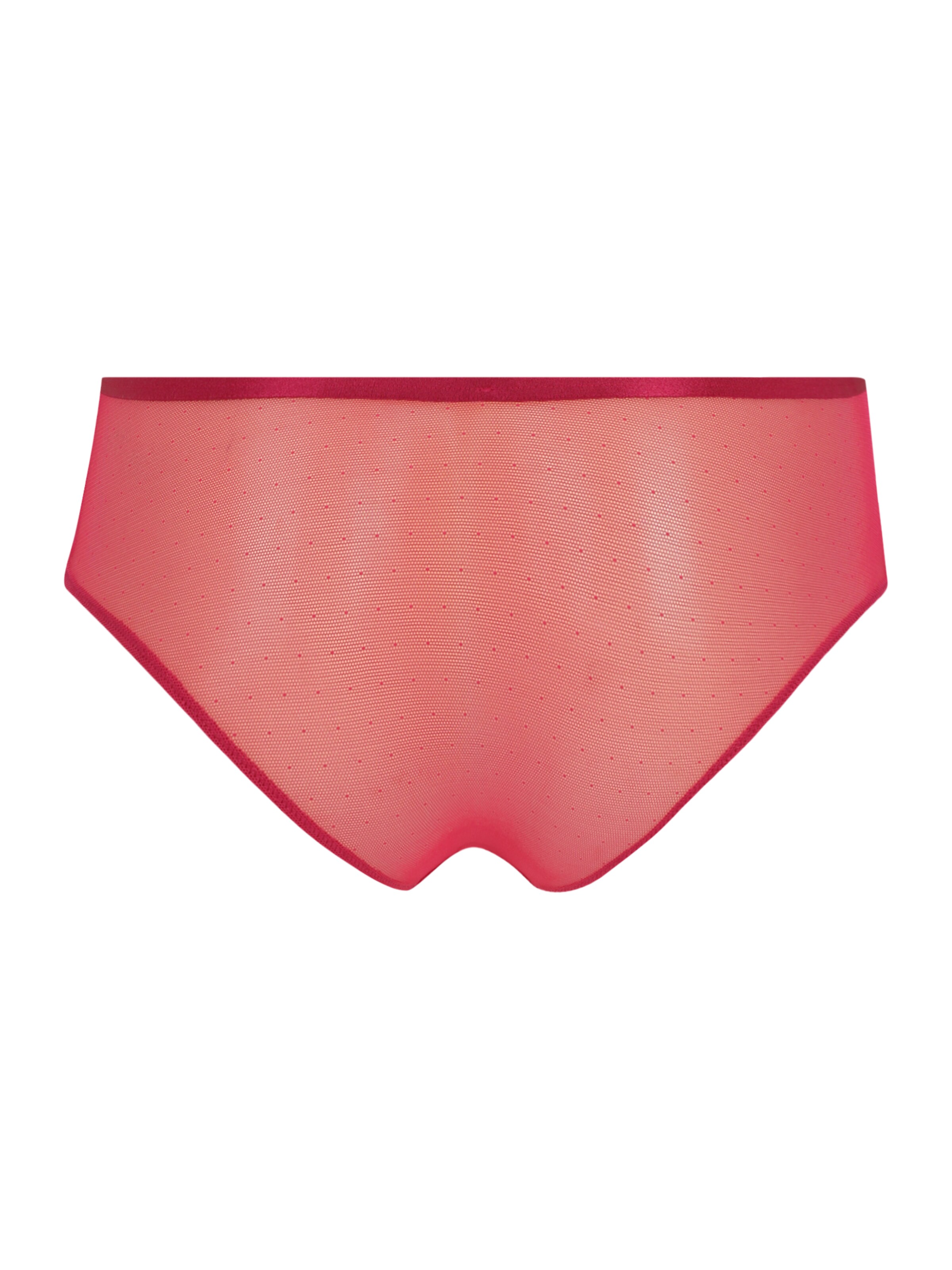 TRIUMPH Slip 'Crazy Stupid Love' in Roze