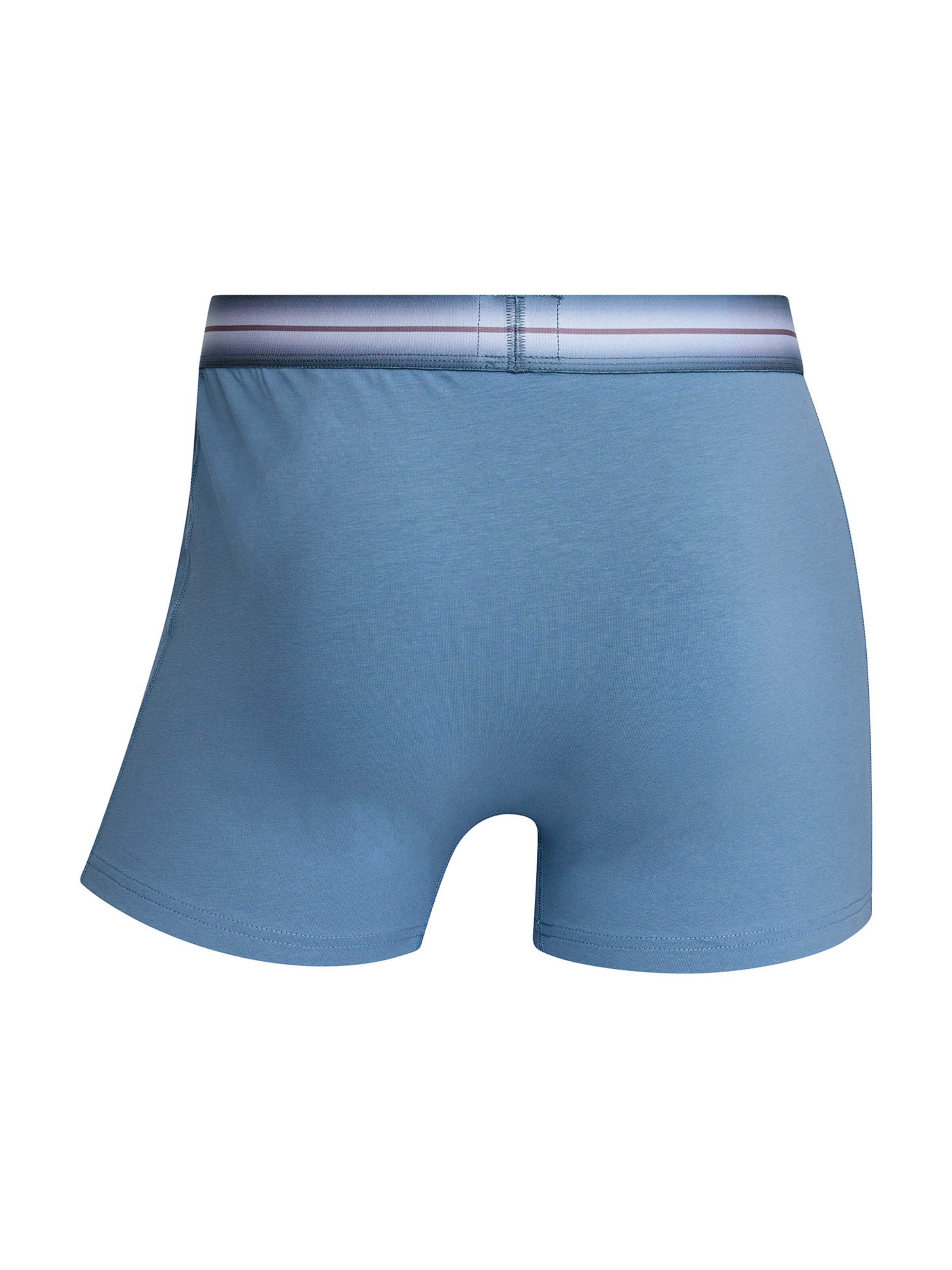 CR7 - Cristiano Ronaldo - Calzoncillo boxer ' Basic Trunk Organic ' en Mezcla de colores