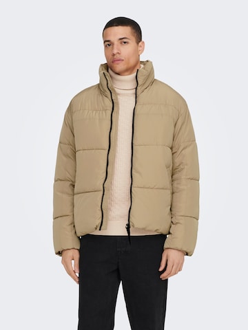 Only & Sons Winter jacket 'Everett' in Brown: front
