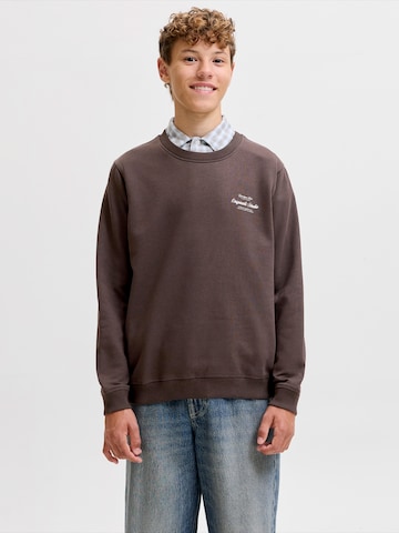Jack & Jones Junior - Sudadera 'JORNORREBRO' en marrón